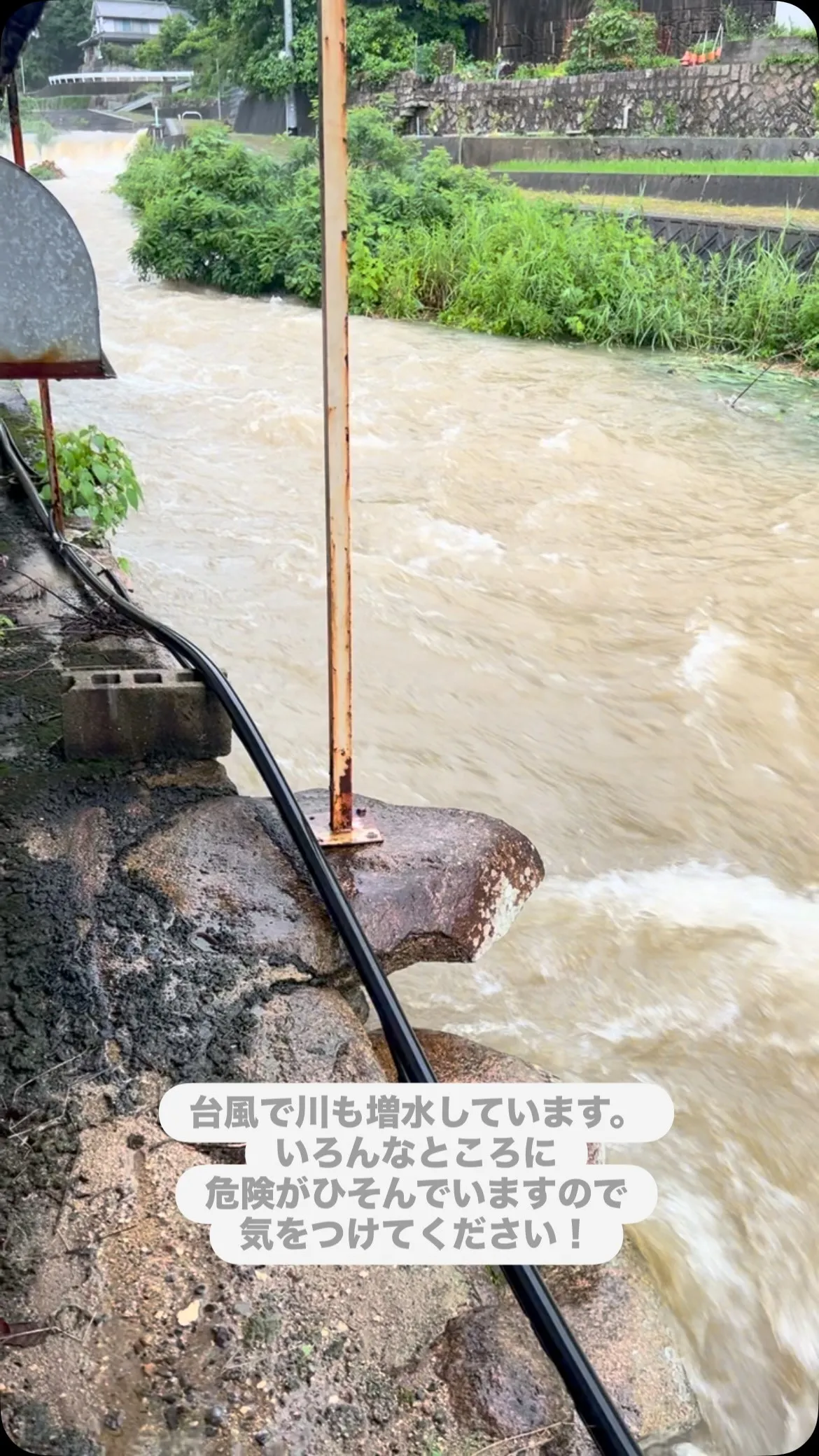 台風で会社の横の川の水位がかなり上がってましたが、雨も落ち着...